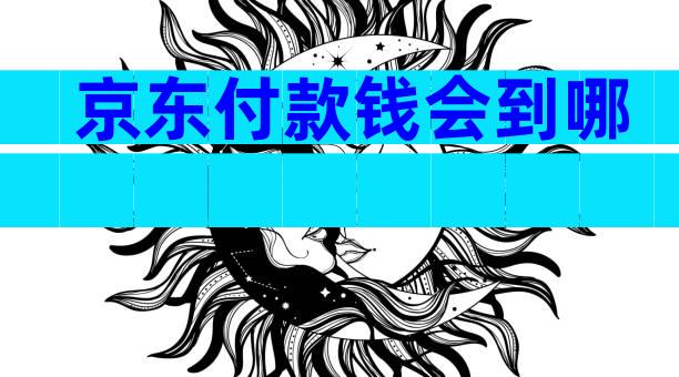 京东付款钱会到哪