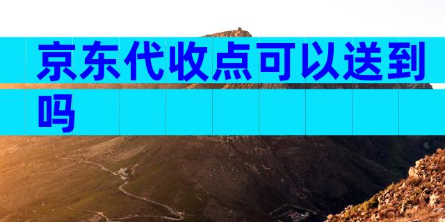 京东代收点可以送到吗