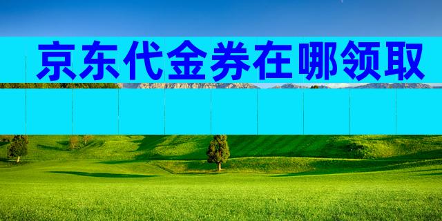 京东代金券在哪领取