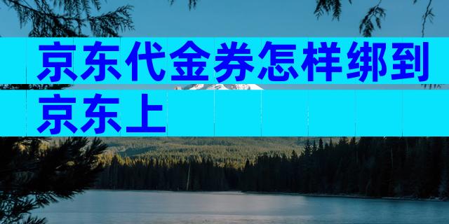 京东代金券怎样绑到京东上