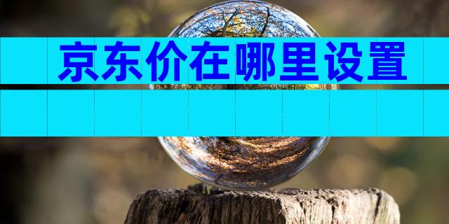 京东价在哪里设置