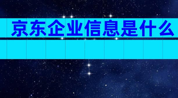 京东企业信息是什么