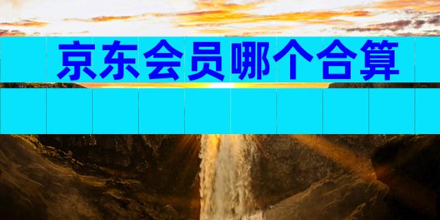 京东会员哪个合算