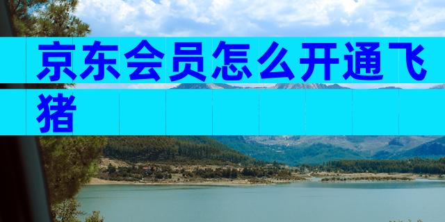 京东会员怎么开通飞猪