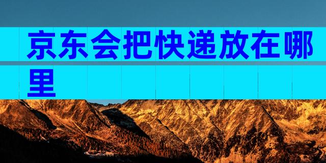 京东会把快递放在哪里