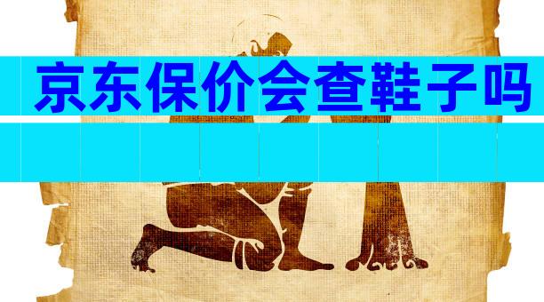 京东保价会查鞋子吗