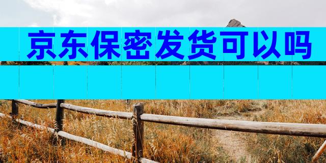 京东保密发货可以吗