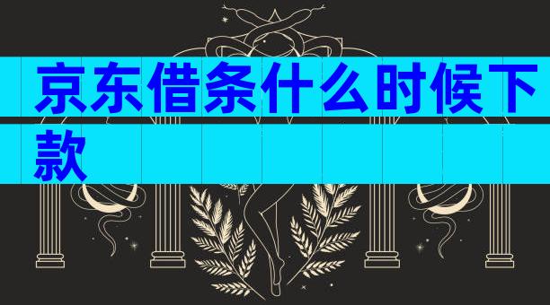 京东借条什么时候下款