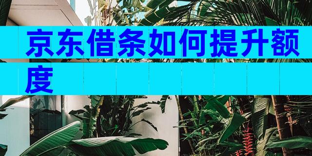 京东借条如何提升额度