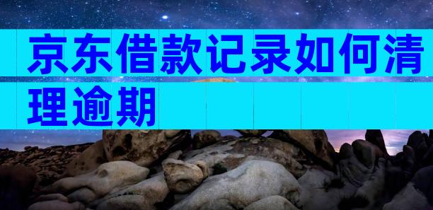 京东借款记录如何清理逾期