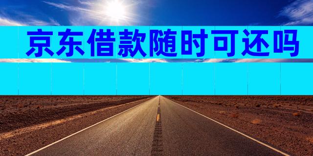 京东借款随时可还吗