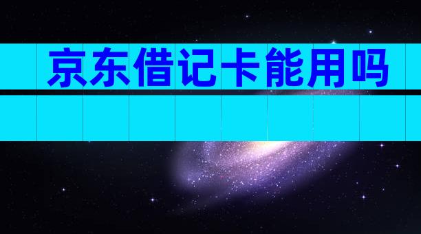 京东借记卡能用吗