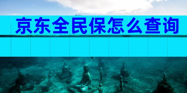 京东全民保怎么查询