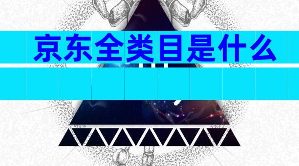 京东全类目是什么