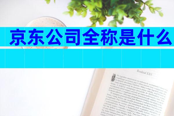 京东公司全称是什么