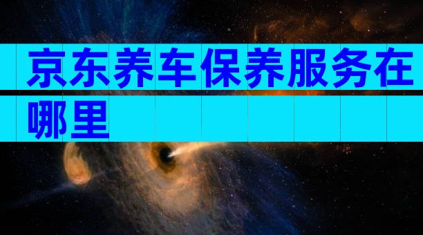 京东养车保养服务在哪里