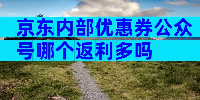 京东内部优惠券公众号哪个返利多吗