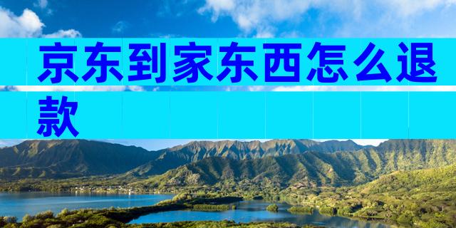 京东到家东西怎么退款