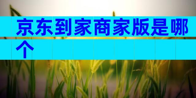京东到家商家版是哪个