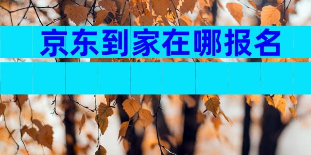 京东到家在哪报名