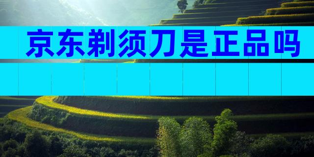 京东剃须刀是正品吗