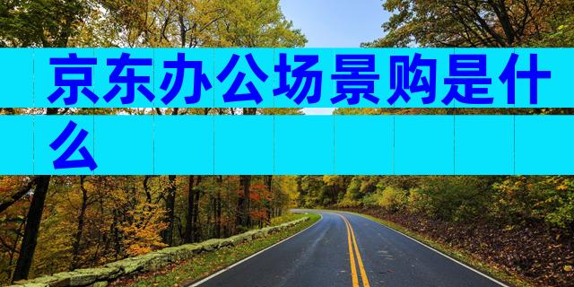 京东办公场景购是什么