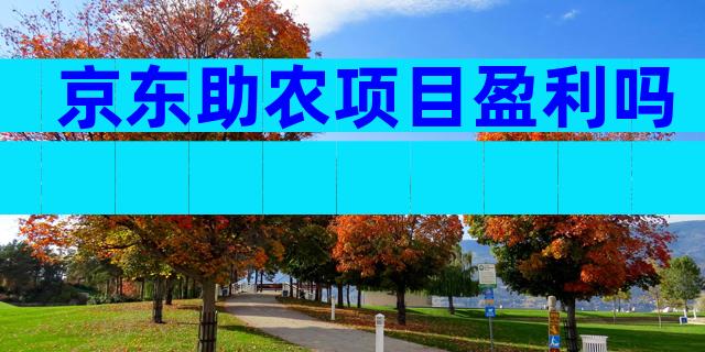京东助农项目盈利吗