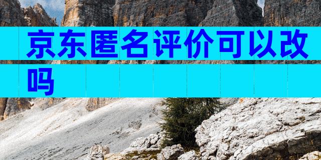 京东匿名评价可以改吗