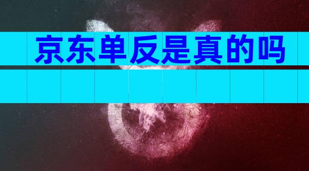 京东单反是真的吗