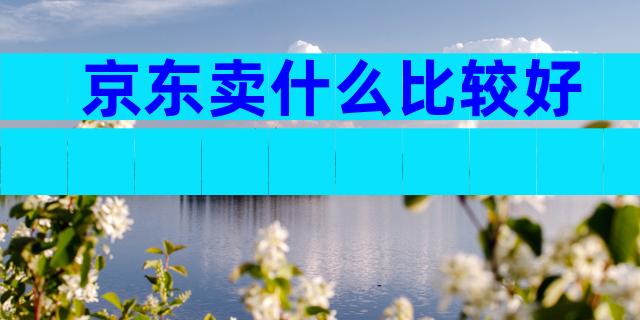 京东卖什么比较好