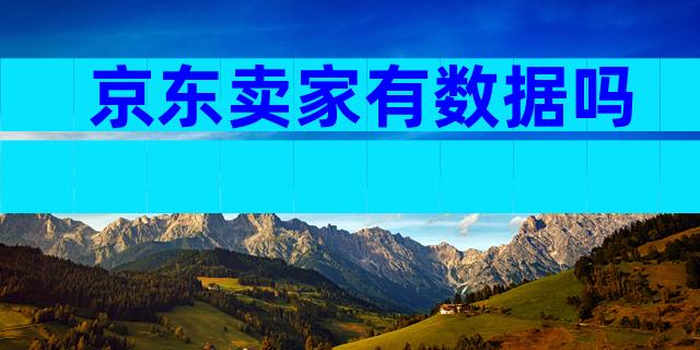 京东卖家有数据吗