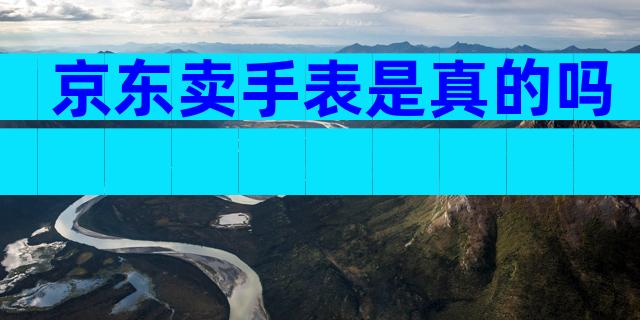 京东卖手表是真的吗