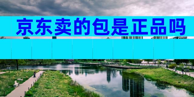 京东卖的包是正品吗