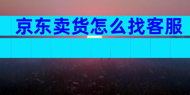 京东卖货怎么找客服
