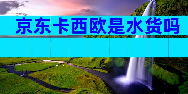 京东卡西欧是水货吗