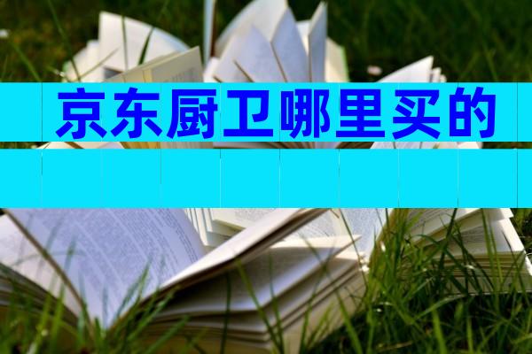 京东厨卫哪里买的