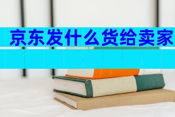 京东发什么货给卖家