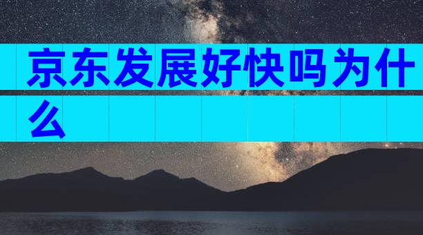 京东发展好快吗为什么