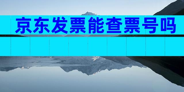京东发票能查票号吗