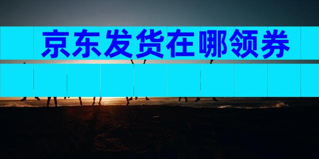 京东发货在哪领券