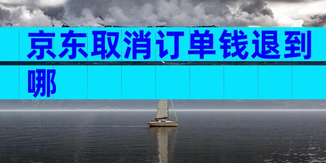 京东取消订单钱退到哪