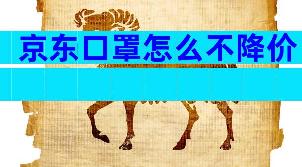 京东口罩怎么不降价