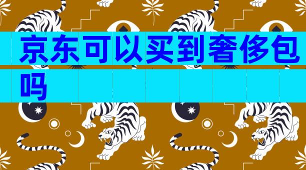 京东可以买到奢侈包吗
