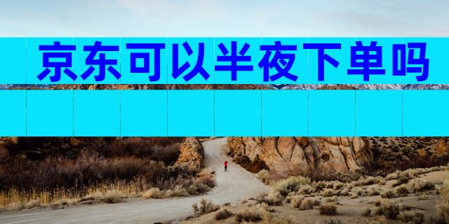 京东可以半夜下单吗