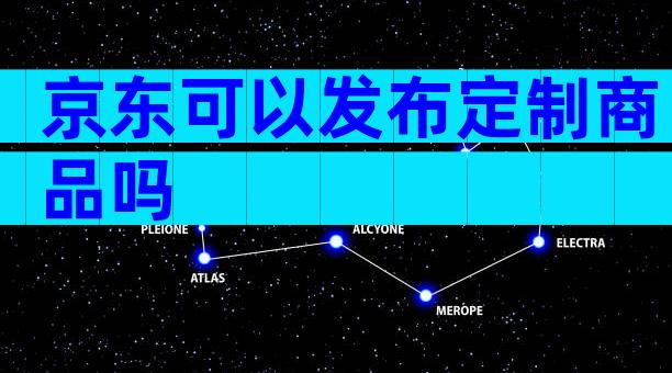 京东可以发布定制商品吗