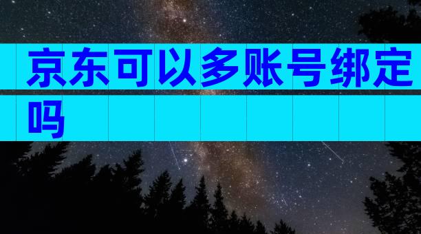 京东可以多账号绑定吗
