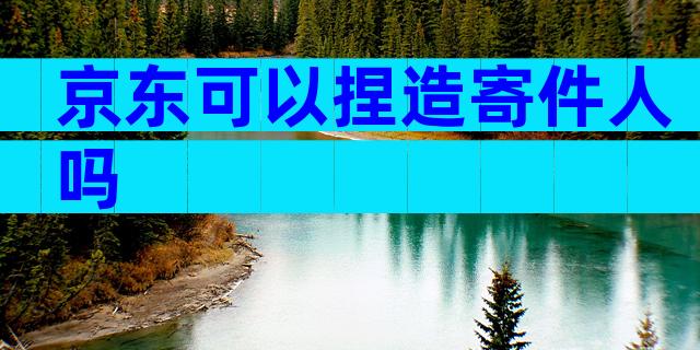 京东可以捏造寄件人吗