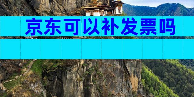 京东可以补发票吗
