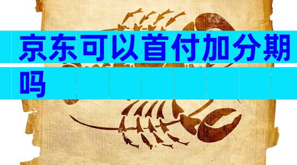京东可以首付加分期吗