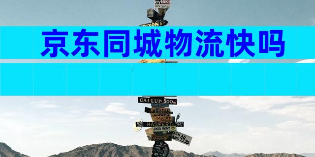 京东同城物流快吗